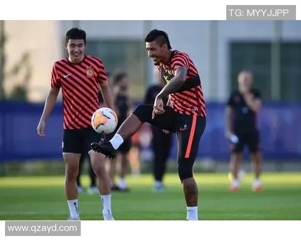 广州排球队战术引发热议球迷与专家观点交锋解析